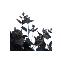 Faux Nordic Black Eucalyptus Leaf Stem