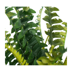 Faux Boston Bush Stem
