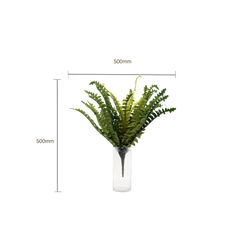 Faux Boston Bush Stem