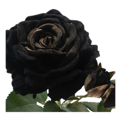 Faux Rose Stem